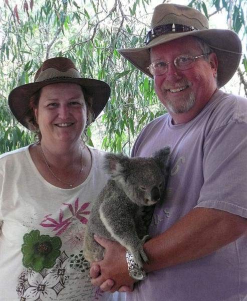 Koalas smaller brain slows Koalas' metabolism rate.